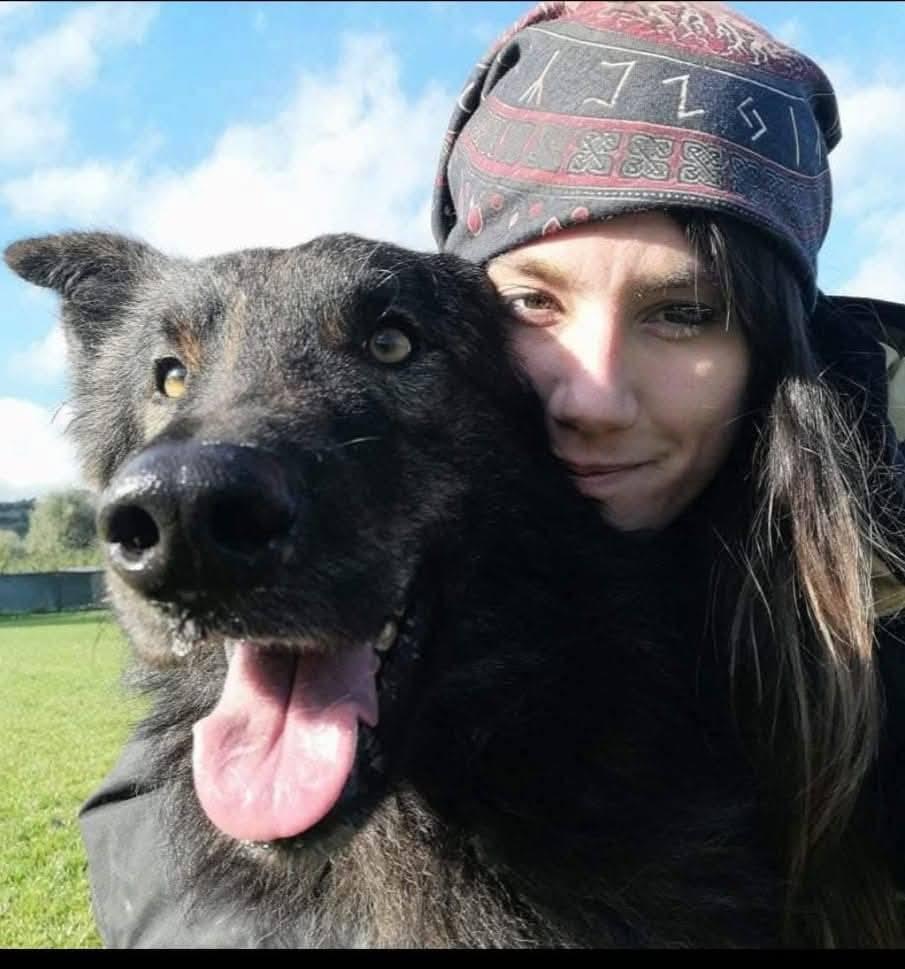 Cane ucciso dai cacciatori, condannati a pagare un maxi risarcimento Cane ucciso dai cacciatori, condannati a pagare un maxi risarcimento