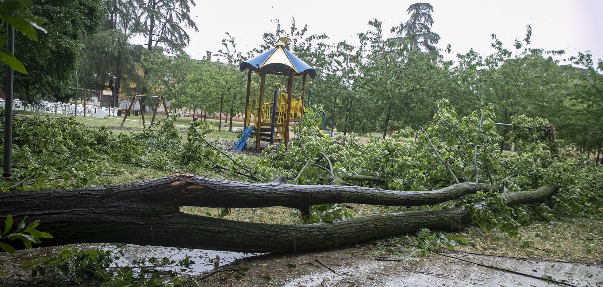 clima pazzo grandine grossa come noci alberi abbattuti dalle raffiche di vento