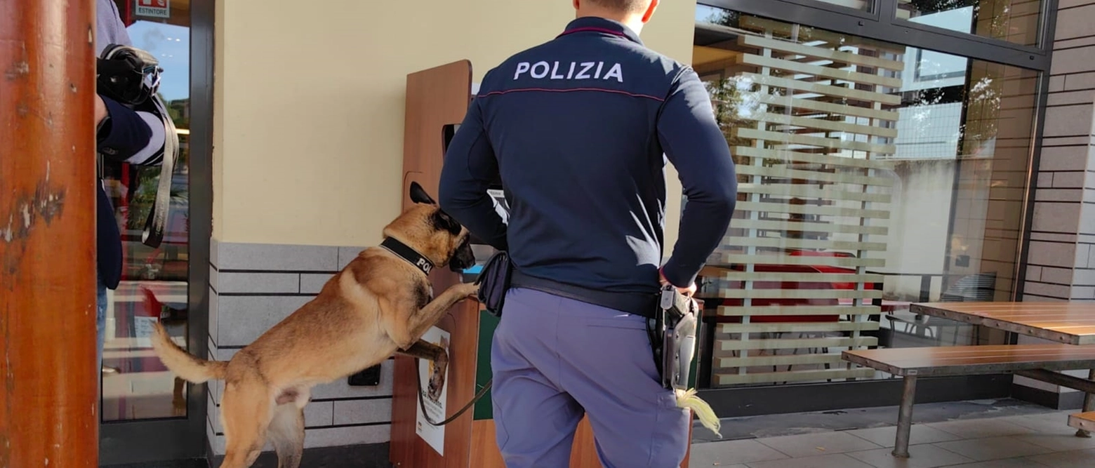 Un bar e una macelleria hanno ricevuto sanzioni per 18mila euro da parte di polizia di Stato e locale. In azione anche le unità antidroga con il cane Edox