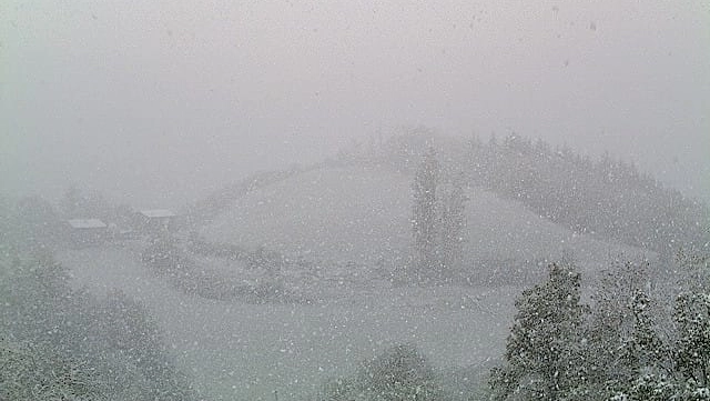 Forte nevicata a Castel D'Aiano, nel Bolognese a 850 metri di quota: foto tratta dal profilo Facebook di Emilia Romagna Meteo