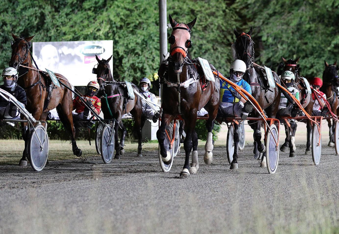 stagione corse al trotto all ippodromo del savio novit224 e grandi premi in arrivo