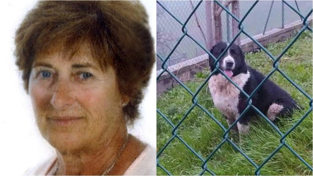 Gianna Canova, l'84enne sbranata dal cane; a destra Tigre nel canile