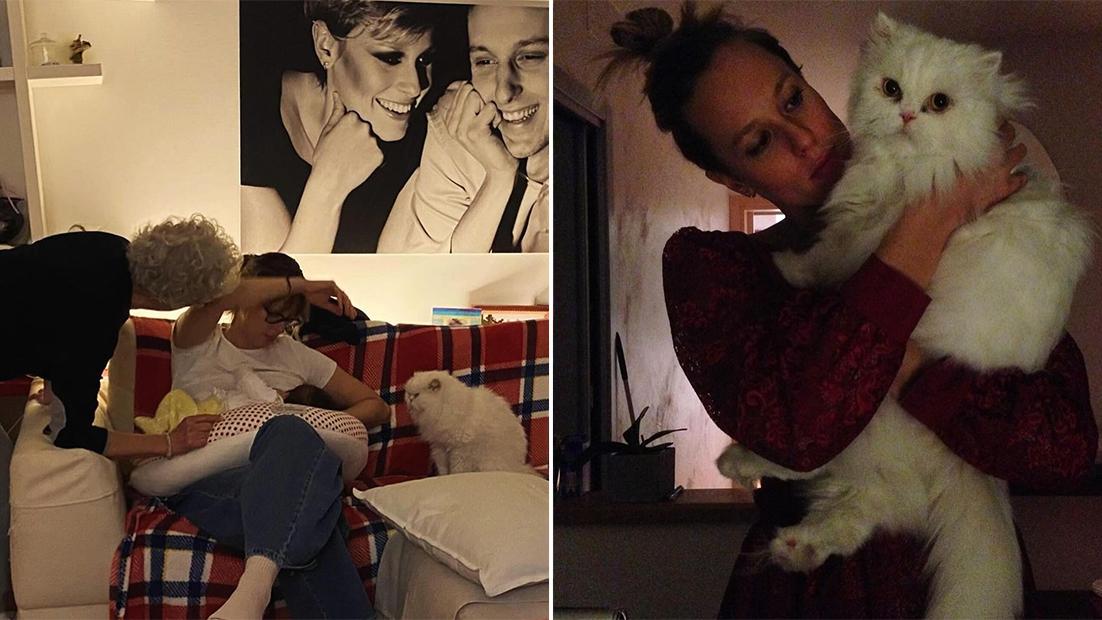 Federica Pellegrini, emozione nel post per il gatto: “Avete fatto appena in tempo a conoscervi”