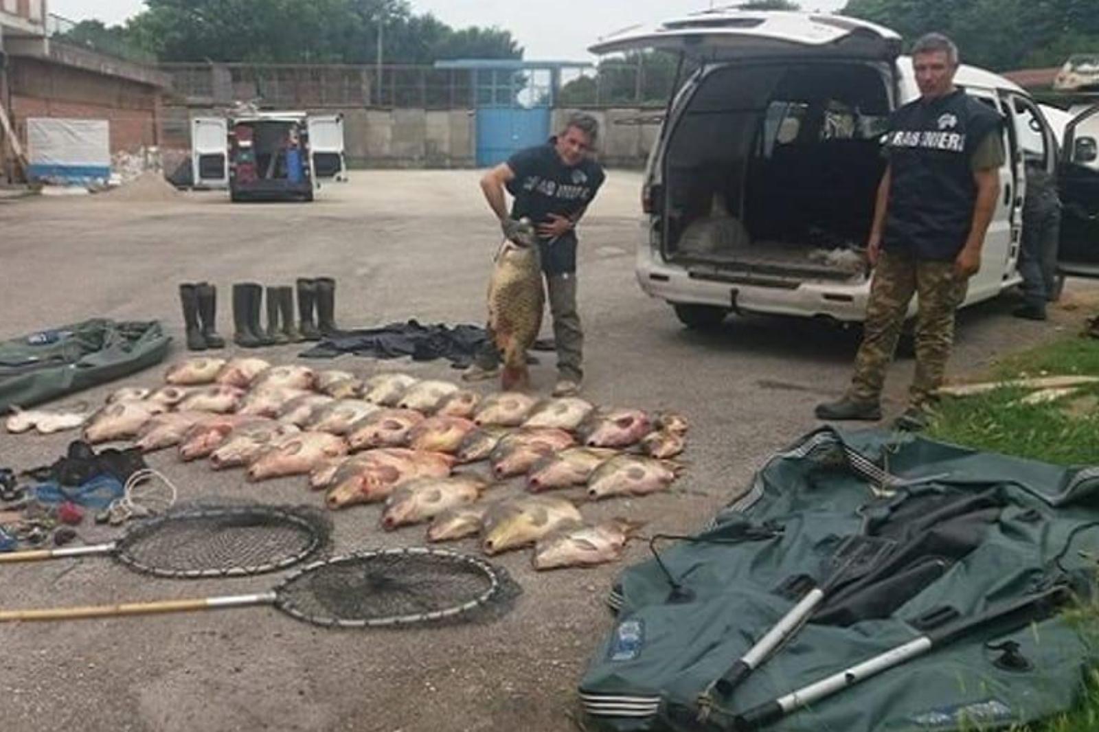Pesca con l’elettroshock, in 3 ore 101 carpe. Presi i bracconieri Pesca con l’elettroshock, in 3 ore 101 carpe. Presi i bracconieri