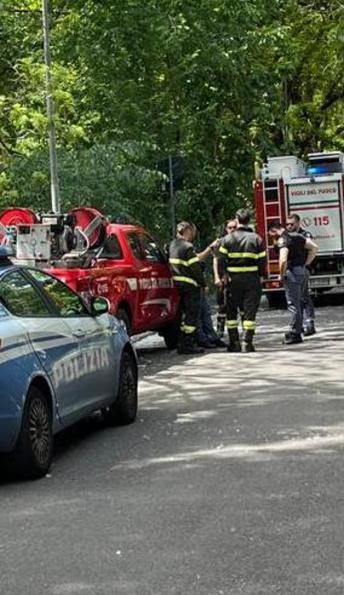 Infiamma i ’piumini’ dentro il cortile di un asilo. Divampa un rogo: scatta l’allarme in via Tondelli Infiamma i ’piumini’ dentro il cortile di un asilo. Divampa un rogo: scatta l’allarme in via Tondelli