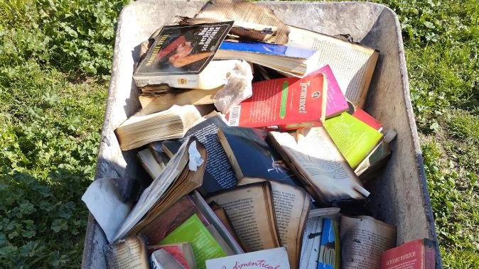 Casetta dei libri per bambini bruciata dai vandali