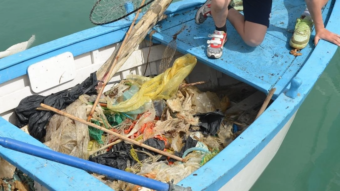 Volontari ripuliscono porto Civitanova: trovata barca tra rifiuti. Iniziativa 'Vivi Porto' coinvolge 80 persone, tra cui bambini. Comune e Capitaneria patrocinano.