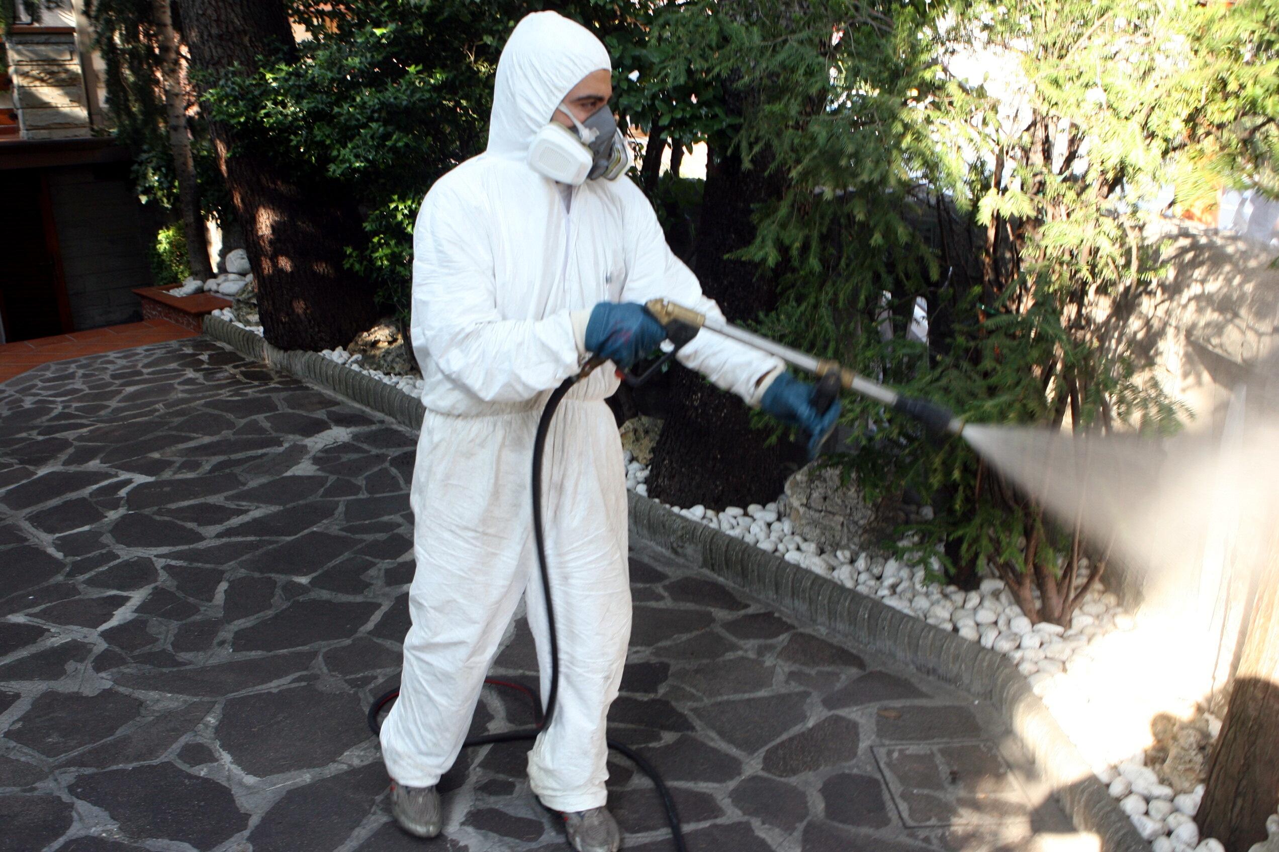 Chikungunya, caso sospetto a Lugo: via alle disinfestazioni Chikungunya, caso sospetto a Lugo: via alle disinfestazioni