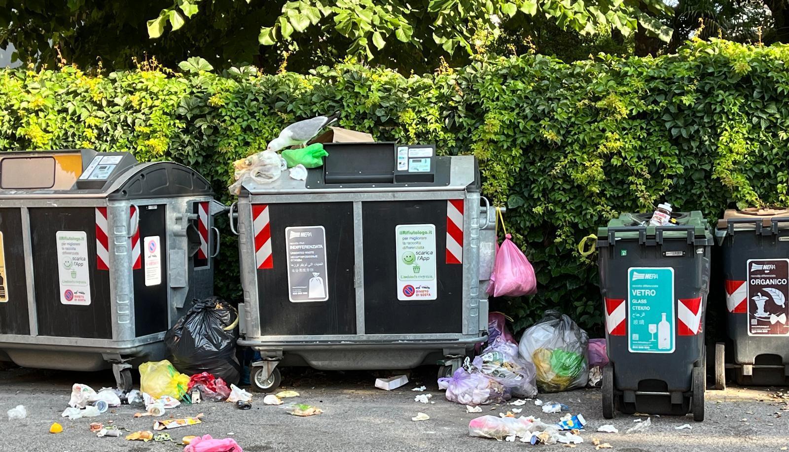 Cassonetti pieni ovunque. Sacchetti a terra e caos,. Hera promette interventi