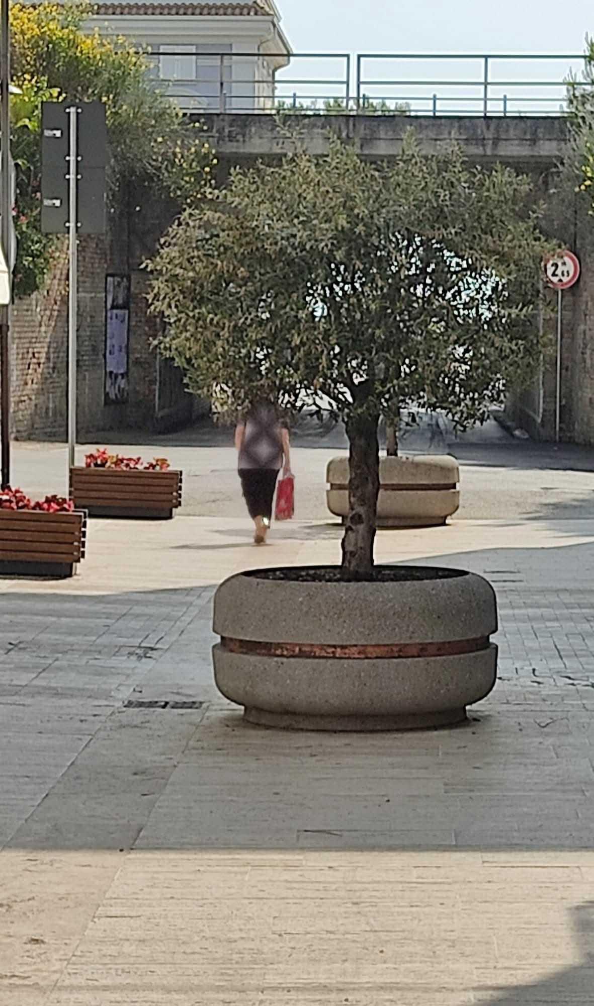 Cittadini adottano le fioriere Cittadini adottano le fioriere