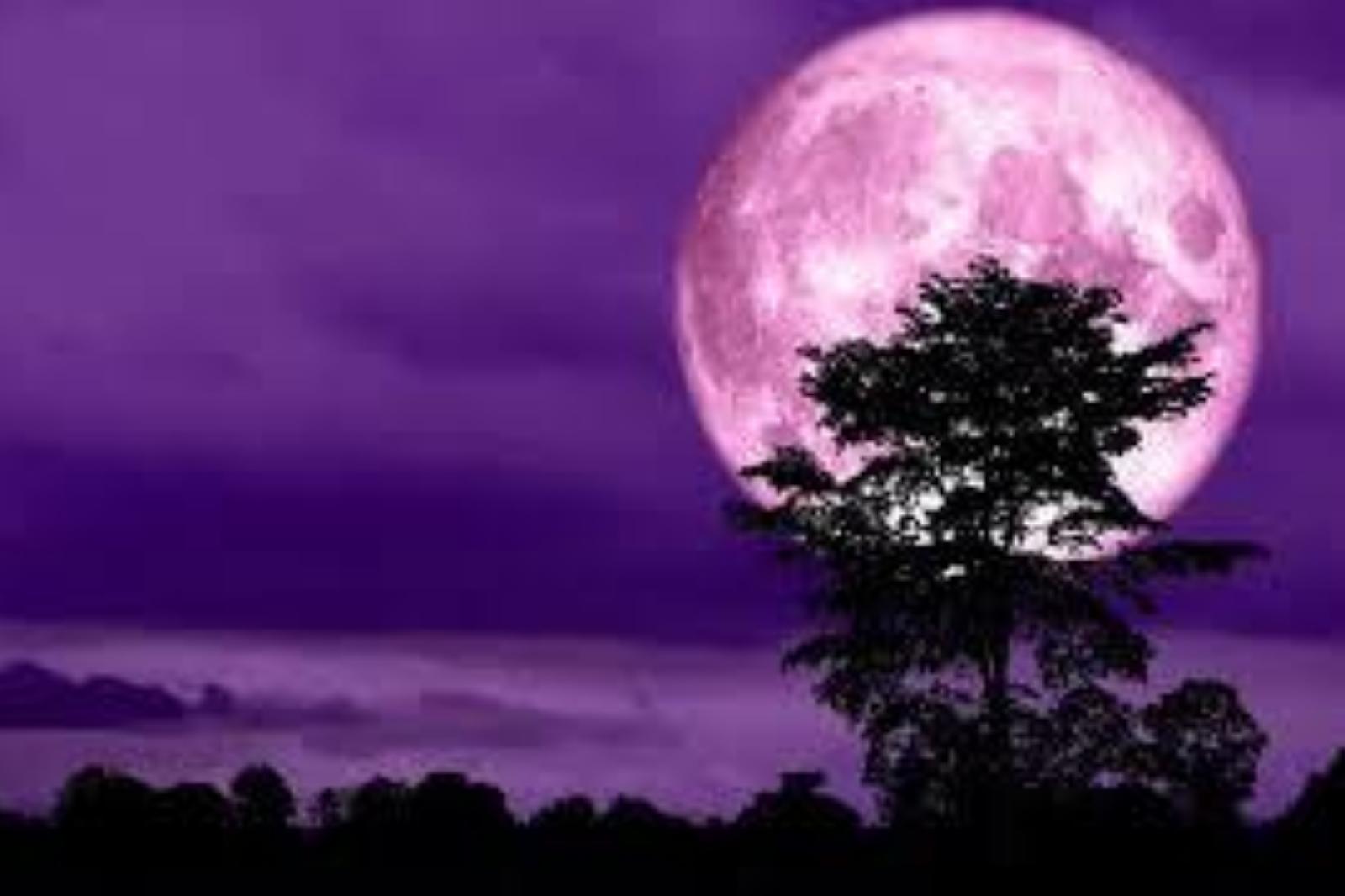 luna piena delle fragole da ammirare a bologna il mistero si svela dove e quando