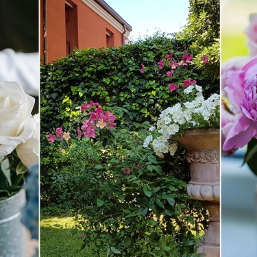 Giardini e Terrazzi, Diverdeinverde, Peonia in Bloom: la primavera sboccia a Bologna