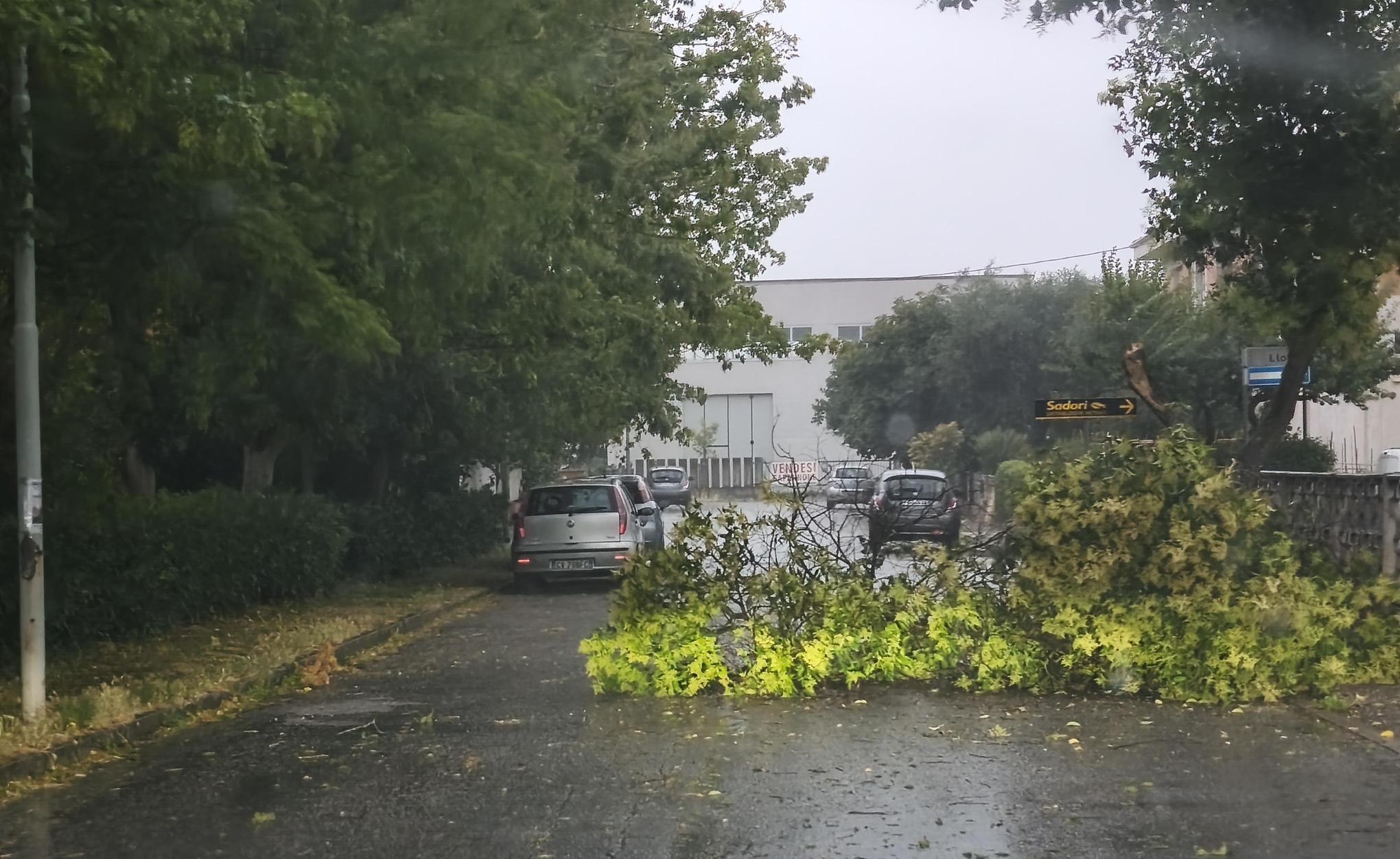 Scatta la conta dei danni. Stabilimenti distrutti Scatta la conta dei danni. Stabilimenti distrutti