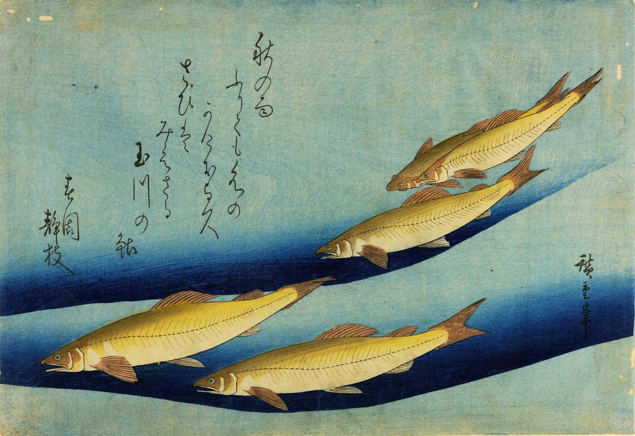 ‘Graphic Japan: da Hokusai al Manga’, una mostra a Bologna celebra il Giappone: le date ‘Graphic Japan: da Hokusai al Manga’, una mostra a Bologna celebra il Giappone: le date