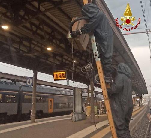 api in stazione treni fermi a reggio emilia