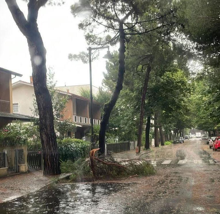 La mareggiata si ’mangia’ la spiaggia La mareggiata si ’mangia’ la spiaggia