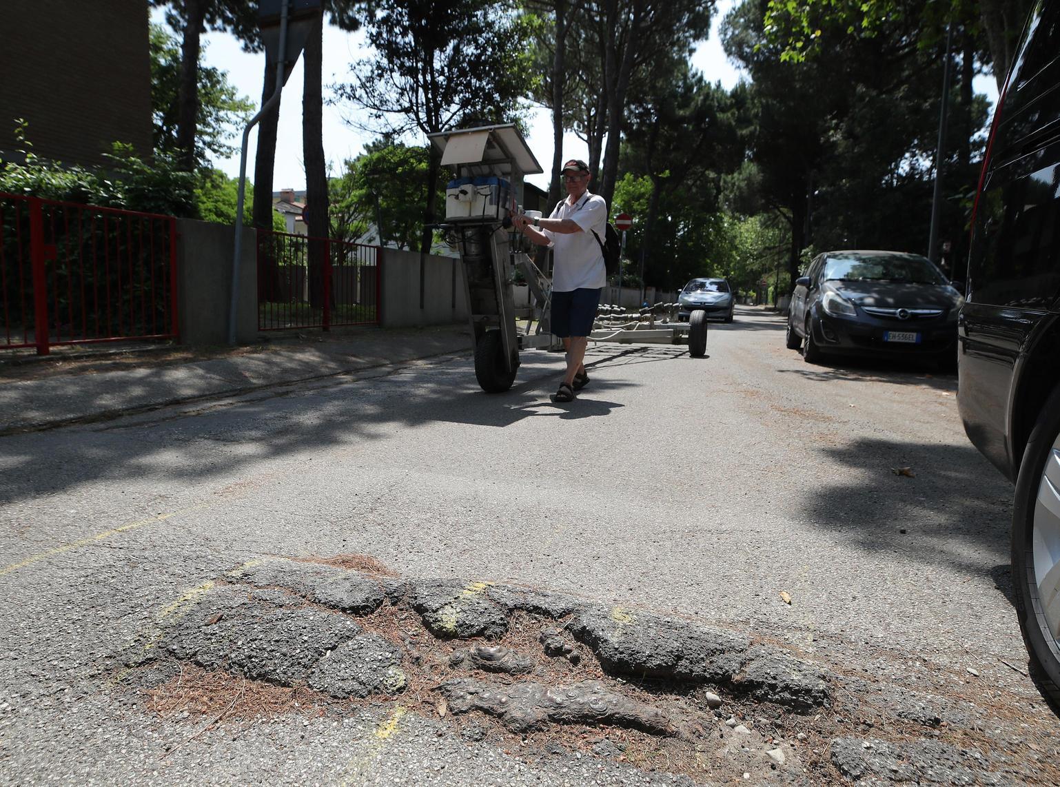 Lido di Classe e le radici: "Tutte le strade a pezzi. C’è chi si è fatto male" Lido di Classe e le radici: "Tutte le strade a pezzi. C’è chi si è fatto male"