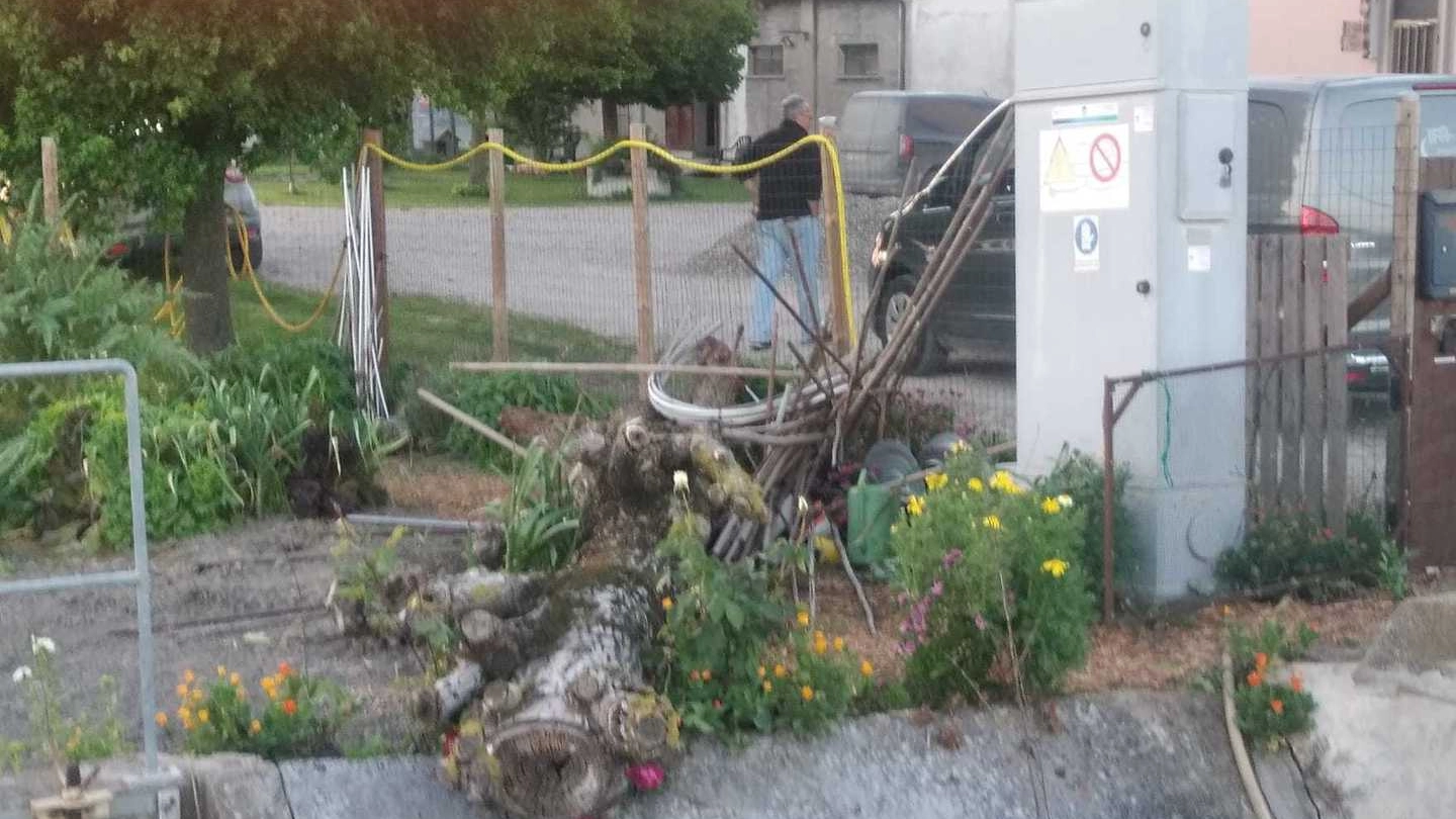 L’albero caduto addosso alla pensionata In via Isonzo è intervenuto anche l’elisoccorso