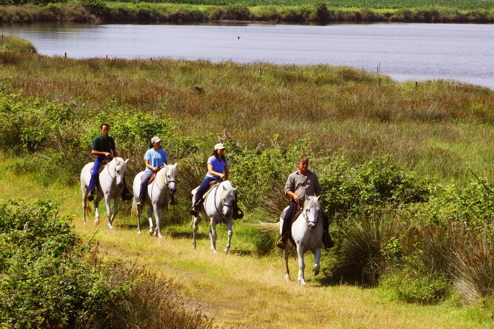 Il parco del Delta del Po offre una suggestiva passeggiata a cavallo per padri e figli