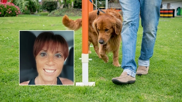 Muore sbranata dal cane a Pesaro, l’addestratrice spiega i rischi legati alla razza