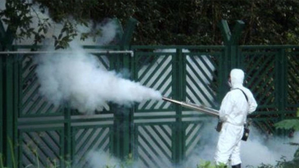 Dengue: una disinfestazione straordinaria in Sud America