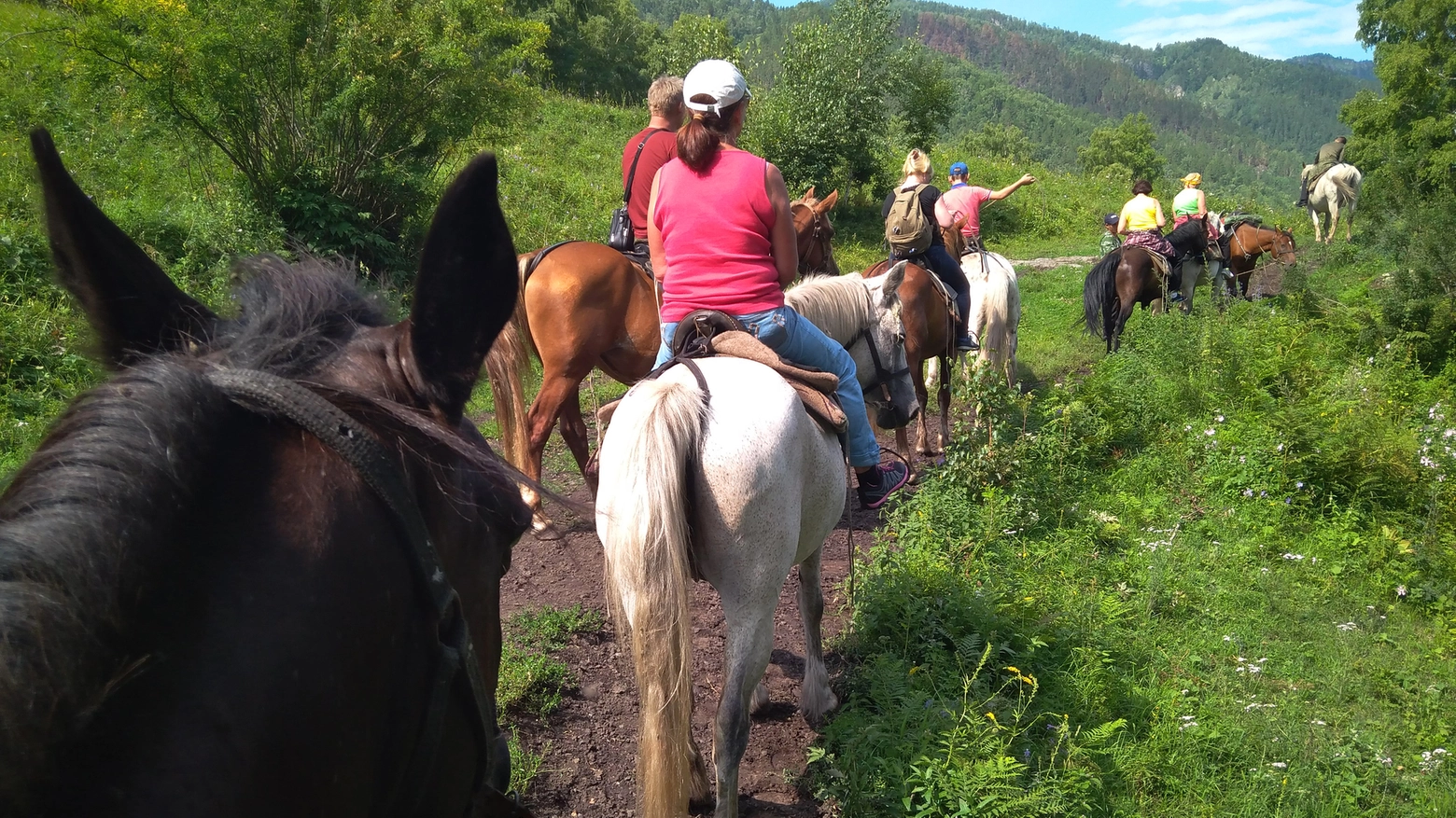 Trekking e passeggiate anche a cavallo: ecco come partecipare