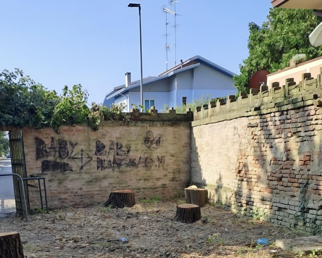 parco di migliarino gi224 nel degrado perch233 sono stati tagliati gli alberi
