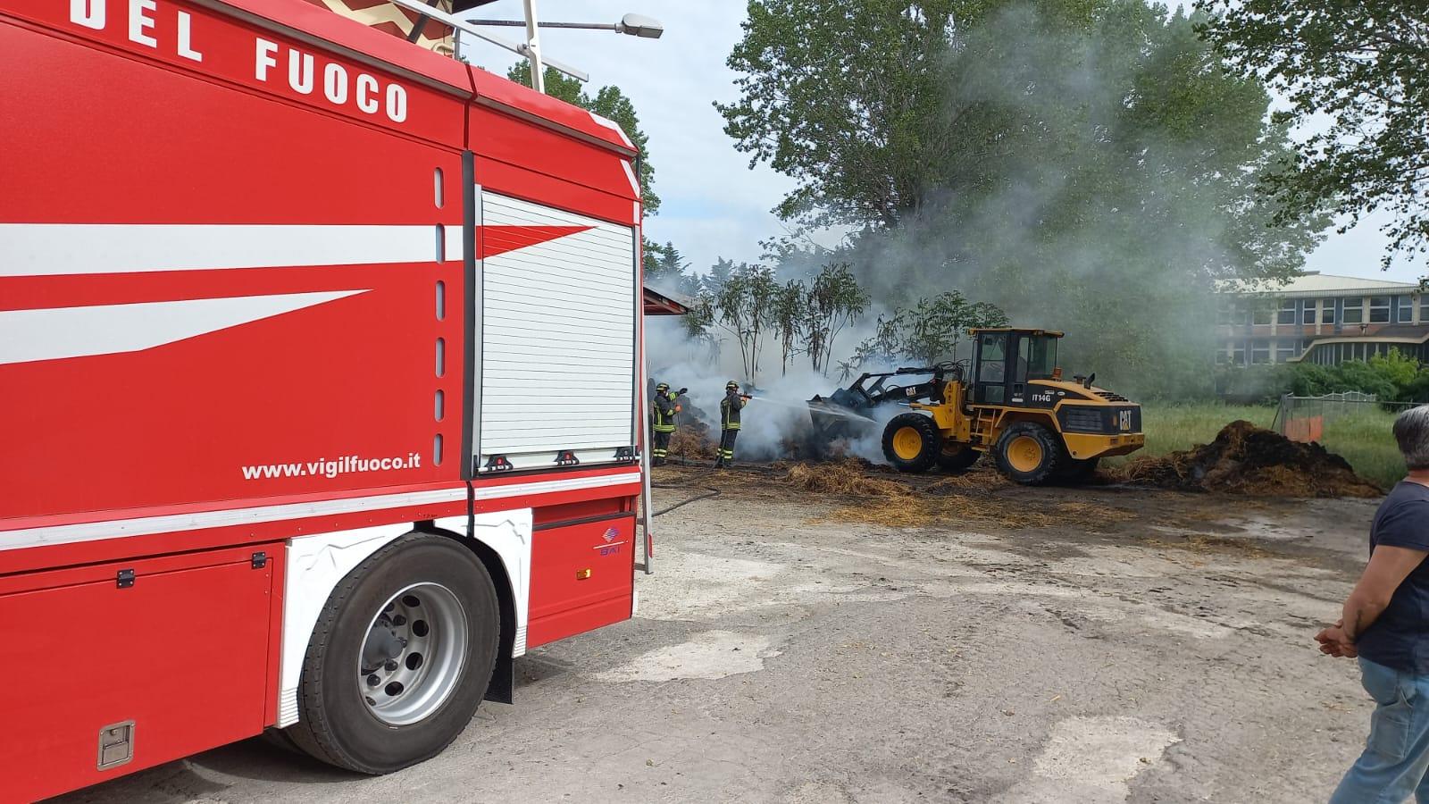 Incendio a Bologna, scuole Aldini Valeriani evacuate Incendio a Bologna, scuole Aldini Valeriani evacuate