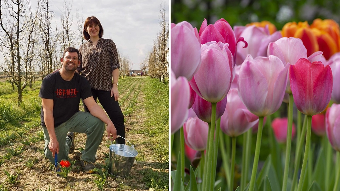 L’idea dell’imprenditore Davide Guerra e della fidanzata Valentina. Dal 28 marzo si possono raccogliere i fiori
