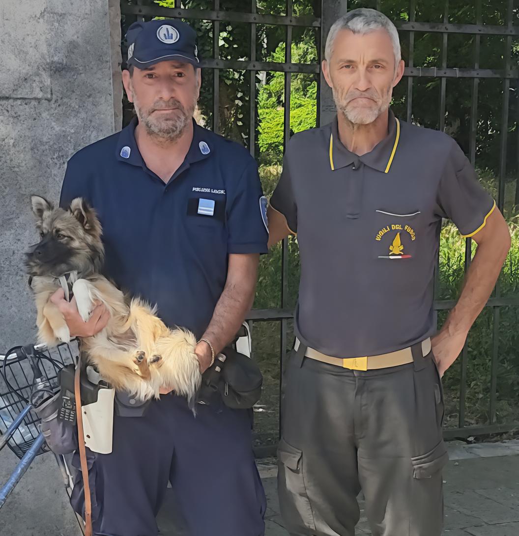 Scappa impaurito durante una passeggiata. Lo ritrovano i Cinofili nel cortile dell’Università Scappa impaurito durante una passeggiata. Lo ritrovano i Cinofili nel cortile dell’Università