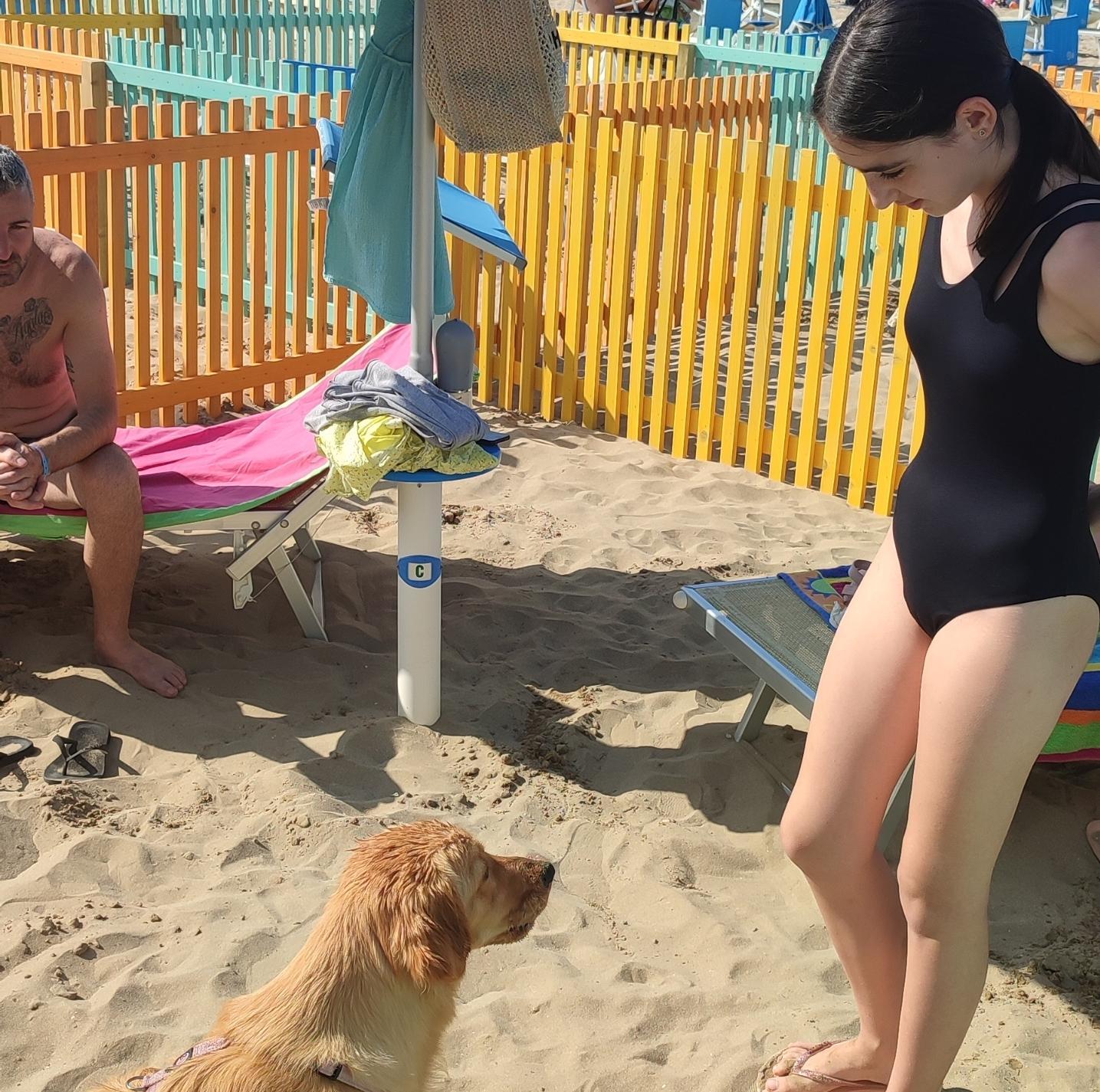 Ecco la spiaggia ‘pet friendly’. Sgambatoio a un passo dal mare Ecco la spiaggia ‘pet friendly’. Sgambatoio a un passo dal mare