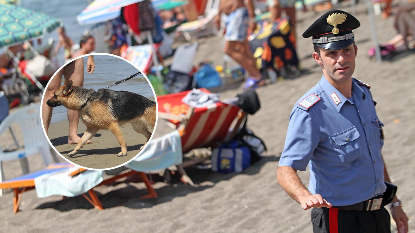 Cane senza guinzaglio in spiaggia a Riccione, violenta rissa tra i bagnanti. Arrivano i carabinieri: tutti schedati