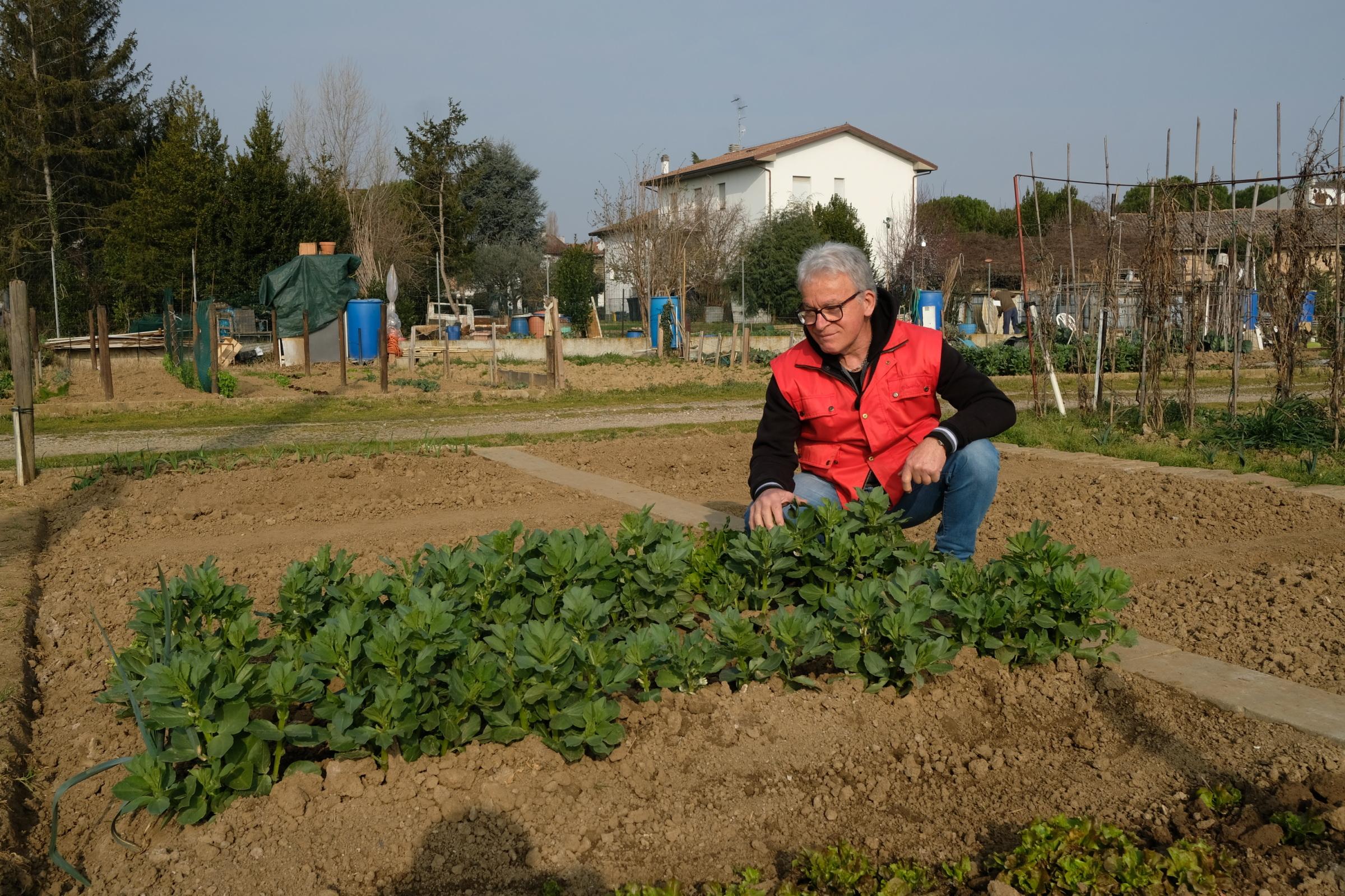orti boom di richieste aumento del 33 successo tra i giovani