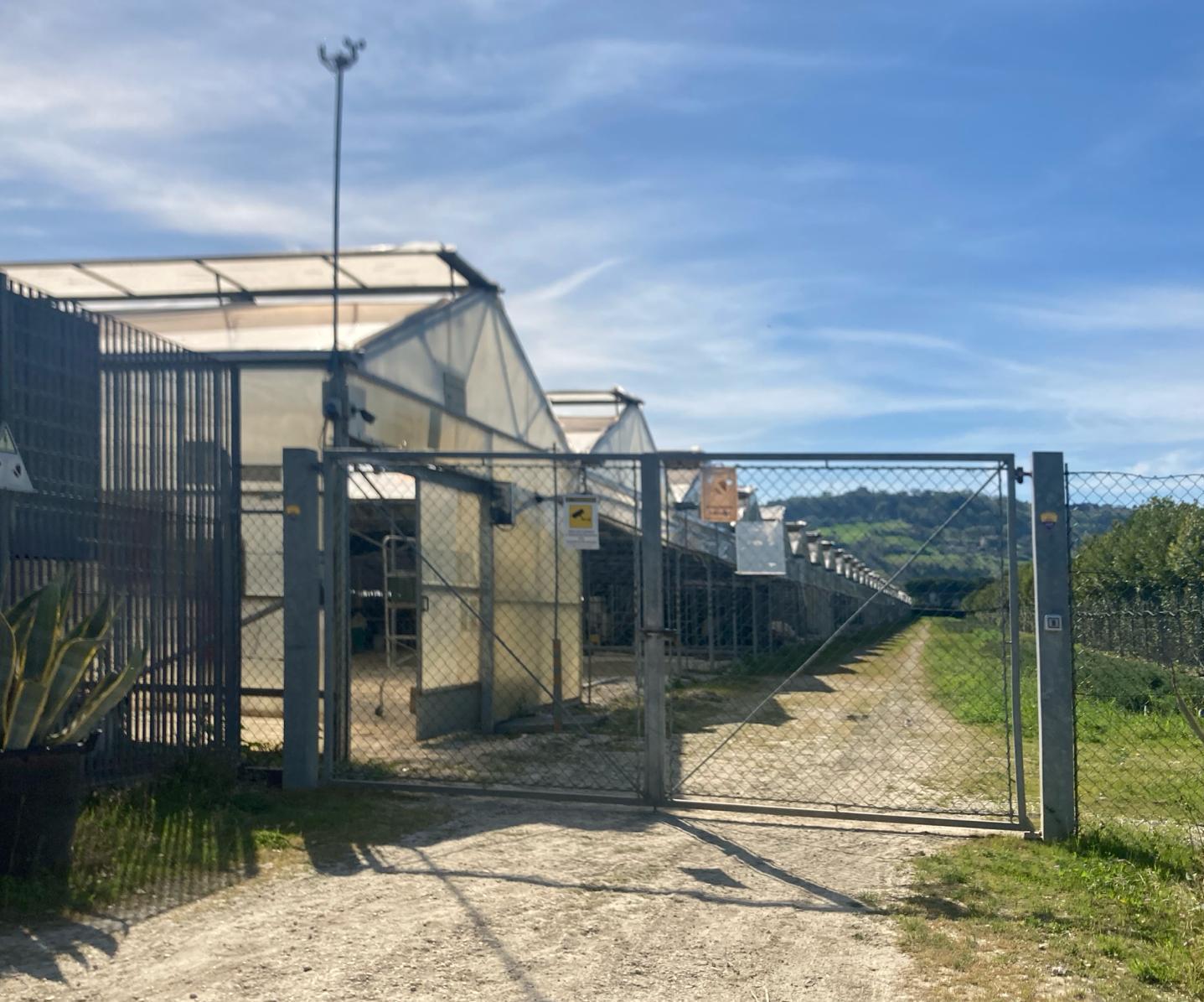 Furto di rame nell’impianto fotovoltaico Furto di rame nell’impianto fotovoltaico
