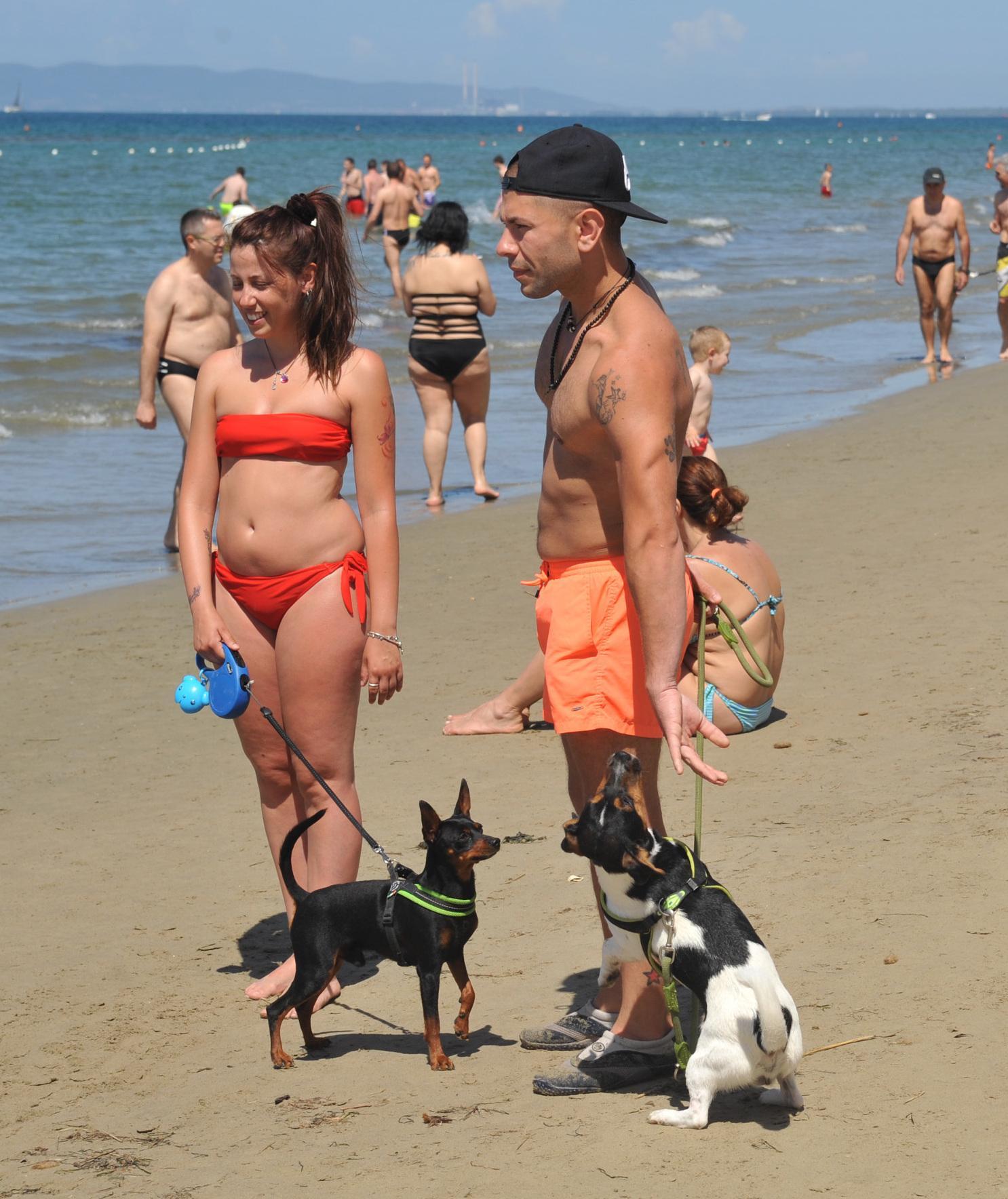 con i propri cani sulla battigia dalle 6 alle 8