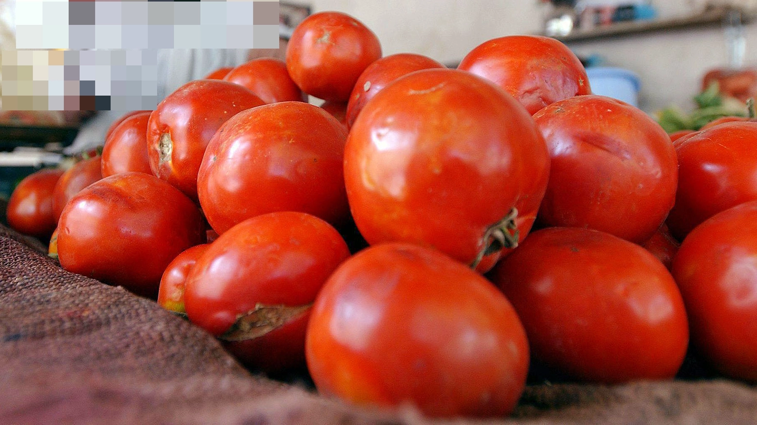 Gli alunni delle due scuole elementari modenesi avevano mangiato pomodorini a merenda: poi i malori tipici di un'intossicazione
