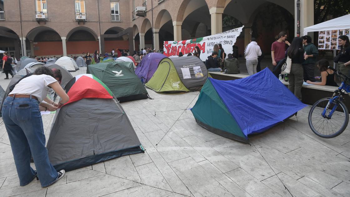 Gaza, la protesta a Bologna: le tende dei Giovani palestinesi in piazza Scaravilli. E mercoledì arriva Zaki