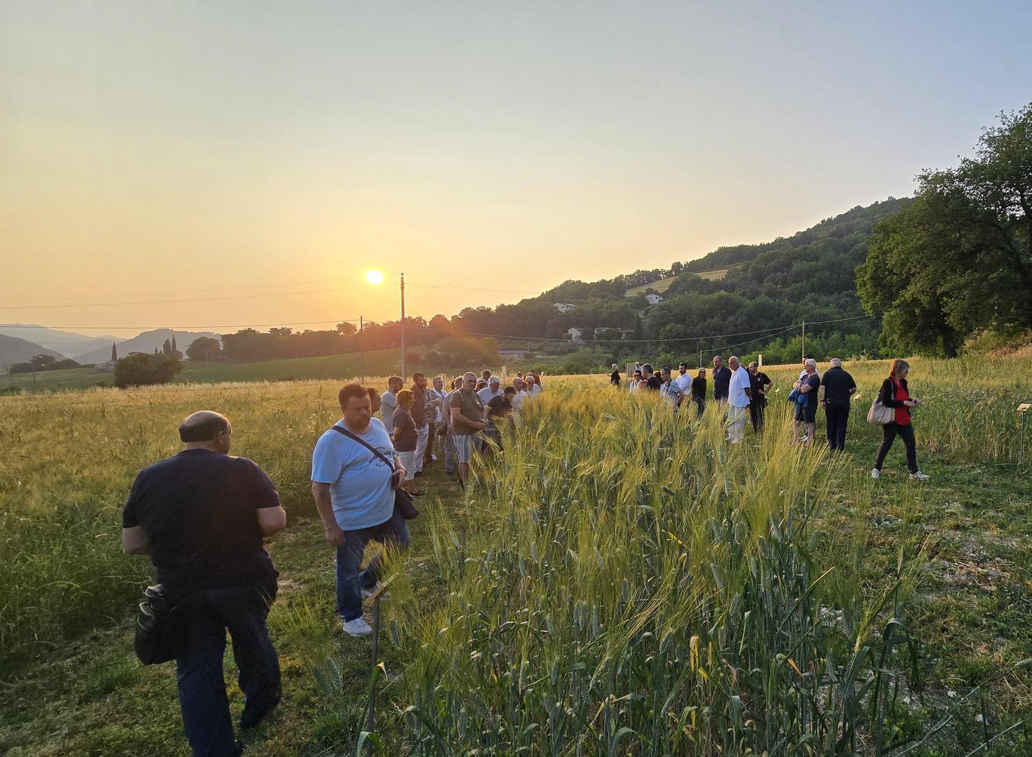 prometeo e le qualit224 del farro campo didattico aperto a tutti