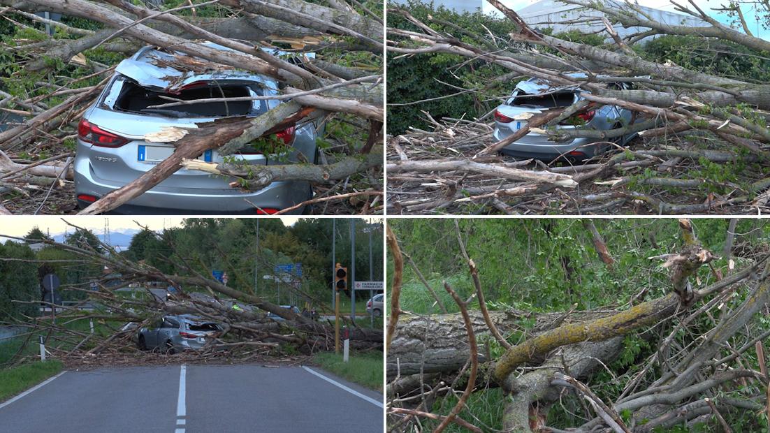 Paura a Spinea, albero cade su un’auto in transito. Raffiche di vento fino a 60 km l’ora