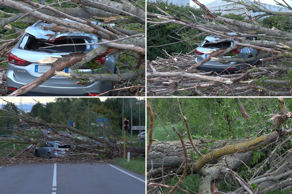 Raffiche di vento su Spinea: auto distrutta da un albero