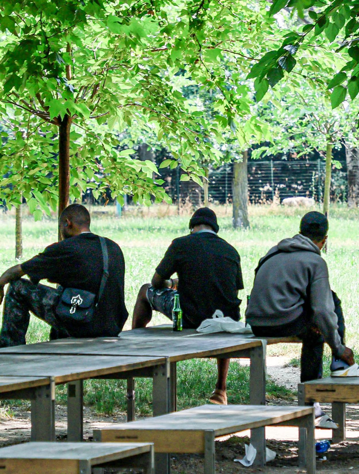 Mvp, la proposta: "Presidio di agenti al parco XXII Aprile" Mvp, la proposta: "Presidio di agenti al parco XXII Aprile"