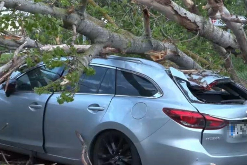 L'auto schiacciata da un albero a Spinea (Venezia)