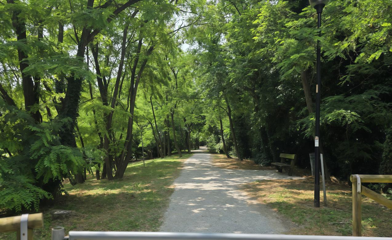 sistemazione della ciclabile che attraversa il parco roda