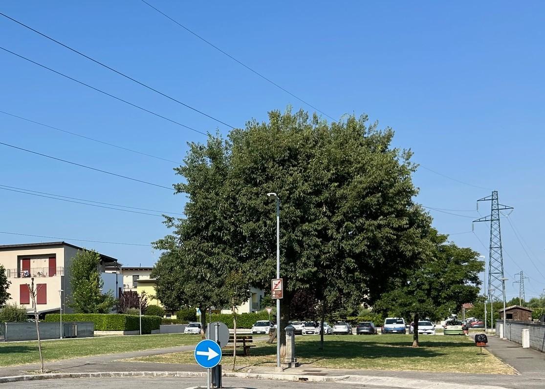 L’ombra del violentatore seriale: abusa di una minorenne, arrestato L’ombra del violentatore seriale: abusa di una minorenne, arrestato
