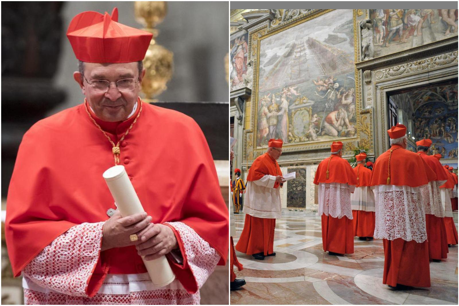 cardinale marchigiano da Ilrestodelcarlino.it Un cardinale marchigiano al conclave per il nuovo Papa ecco chi è