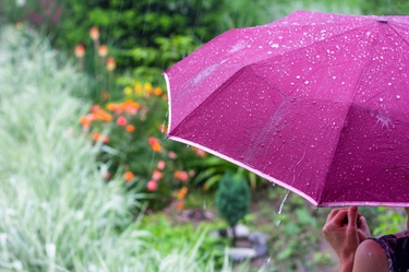 Pasqua e Pasquetta tra pioggia e sole in Emilia Romagna: le previsioni meteo aggiornate
