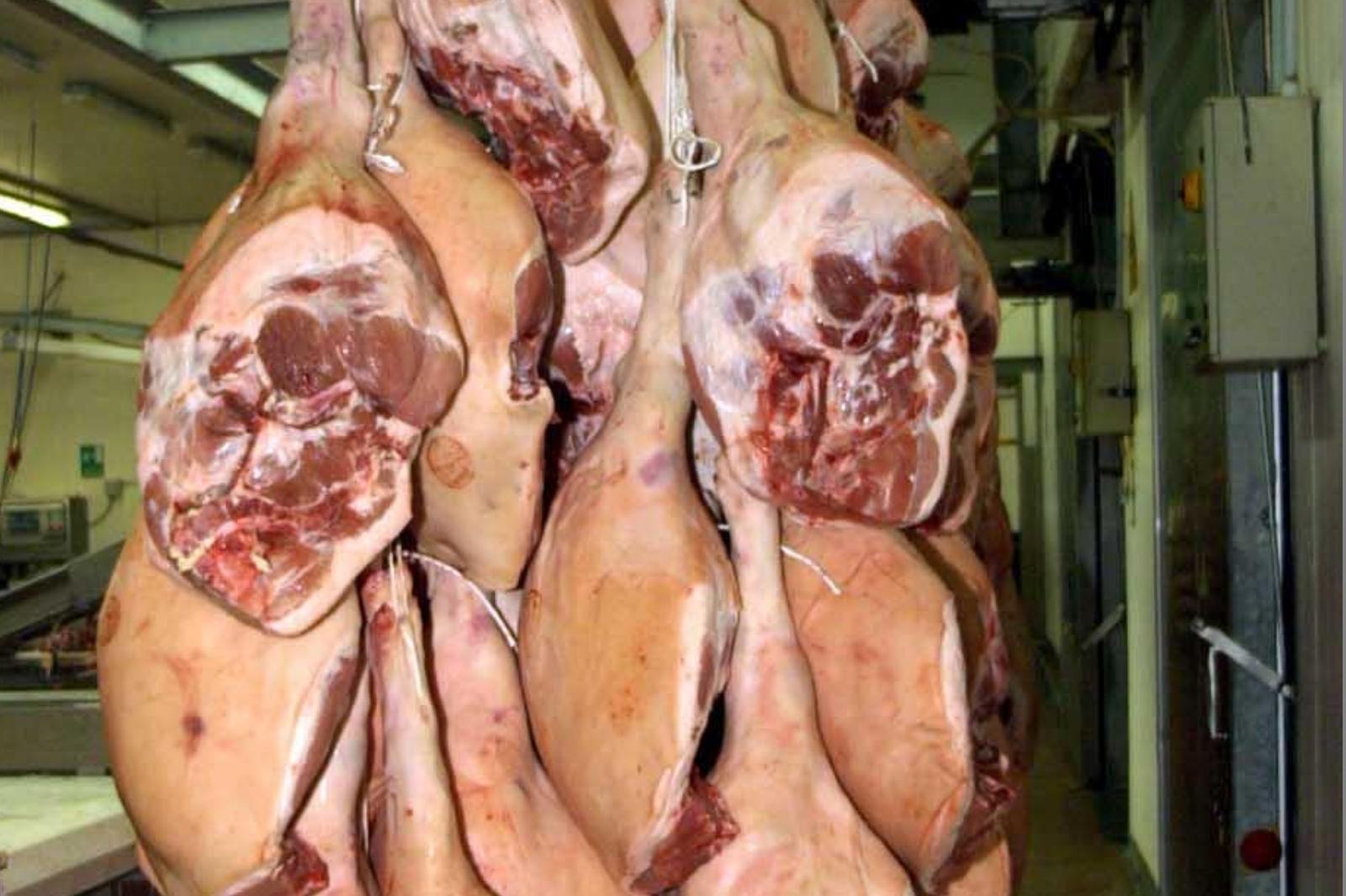 budelli scaduti da più di 10 anni ispezione choc in un salumificio di cesena