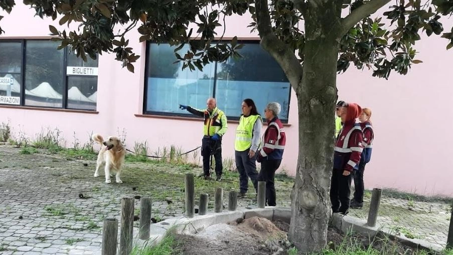 Bellaria, all’ex parco Aquabell  l’addestramento dei cani da soccorso della polizia di Stato