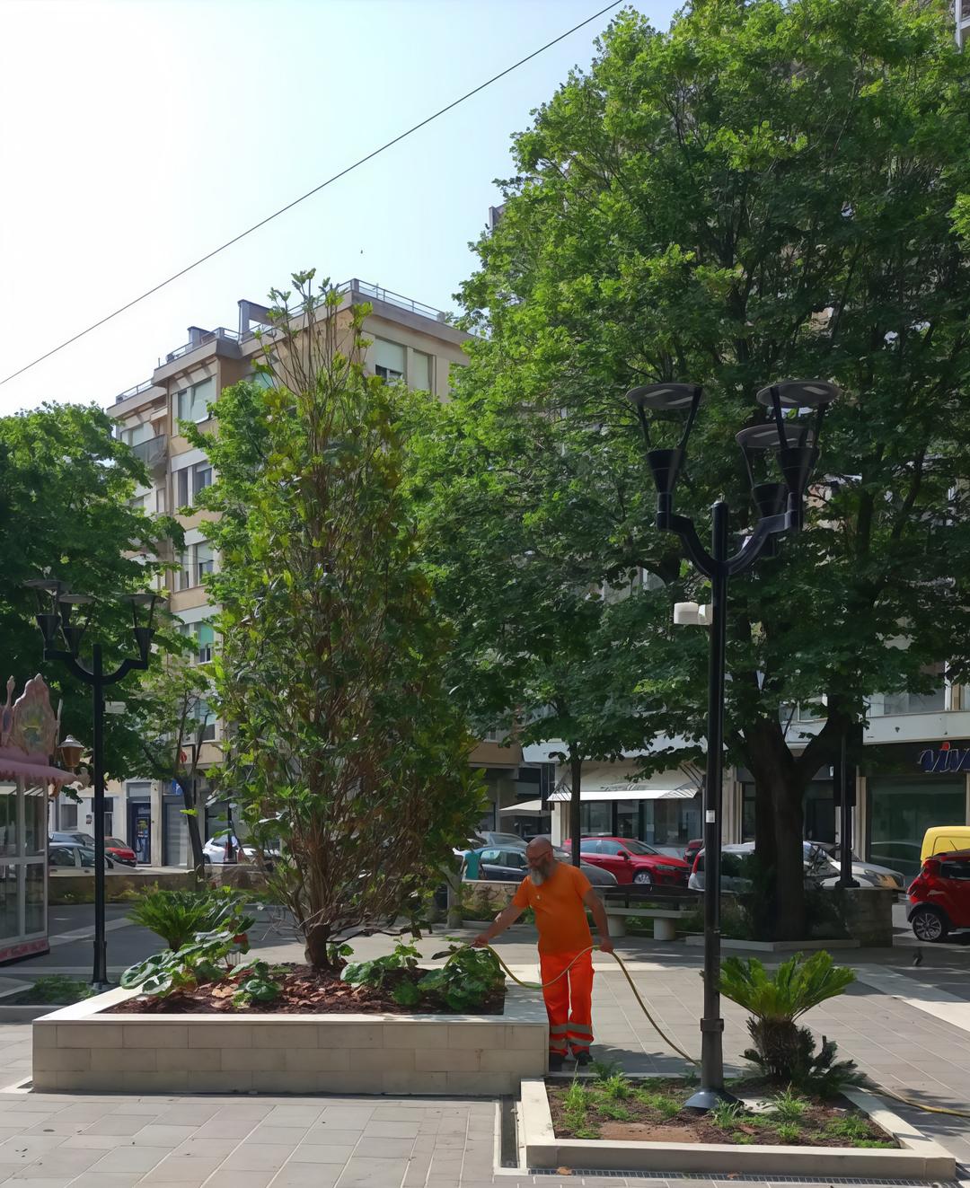 Il "killer" delle piante devasta piazza Garibaldi. Viene subito individuato Il "killer" delle piante devasta piazza Garibaldi. Viene subito individuato