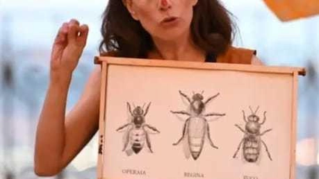 Il volo delle api spiegato ai bimbi con uno spettacolo